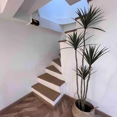 Le Cosy Garden: 4 Prs, Terrasse, Piscine 公寓 昂蒂布